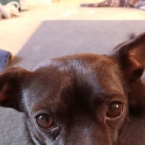 Meet your Posher, Candy